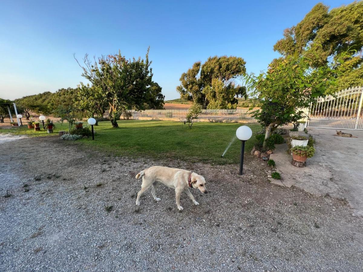 The Arches House Bed And Breakfast Iun F1092 Alguer Exterior foto